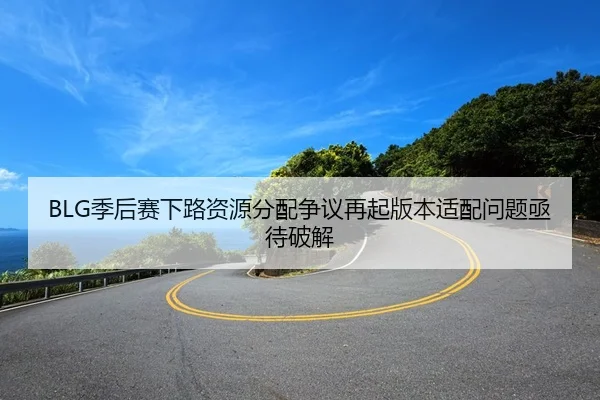 BLG季后赛下路资源分配争议再起版本适配问题亟待破解